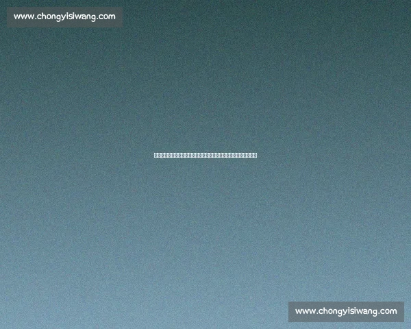 国王对决奇才激战全场年轻核心碰撞引爆东西部悬念季后赛希望之夜